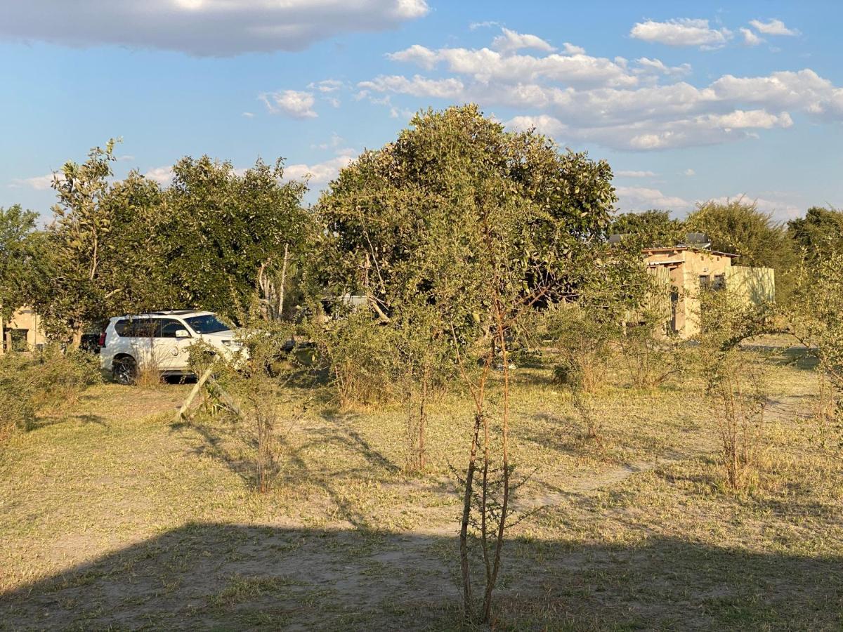 Mababe River Campsite المظهر الخارجي الصورة